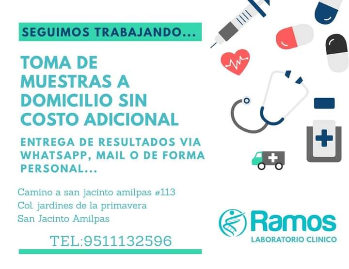 Servicios 