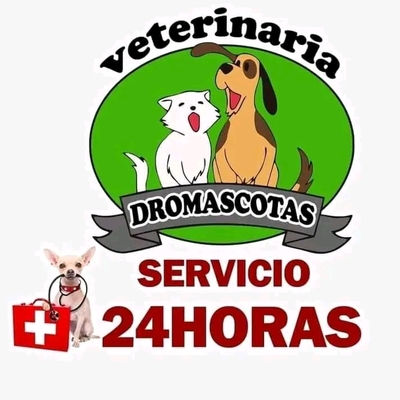 www.veterinariadromascotas.amawebs.com